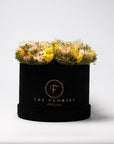Simplicity Everlasting Yellow - The Florist