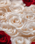 Rosas The Florist