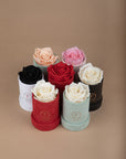 Single Rose Preserved - The Florist