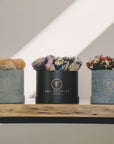 Glamorous Everlasting Beige - The Florist