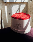 Passion Red - The Florist