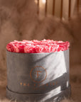 Luxurious Preserved Salmon Roses - The Florist