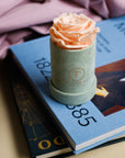 Single Rose Preserved Salmon - The Florist