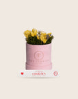 The Florist Portugal