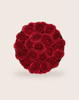 Rosas rojas glamorosas