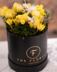 Glamorous Everlasting Yellow - The Florist