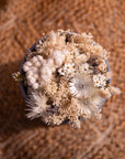 Simplicity Everlasting Beige - The Florist