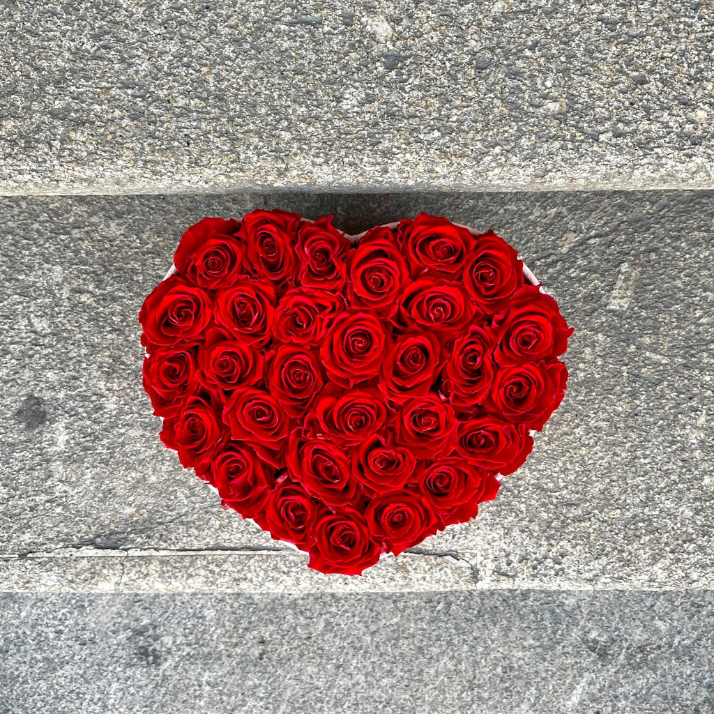 Passion Red Roses XL - The Florist