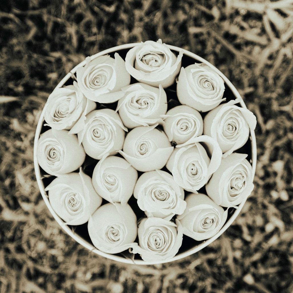Passion Preserved White Roses XL - The Florist