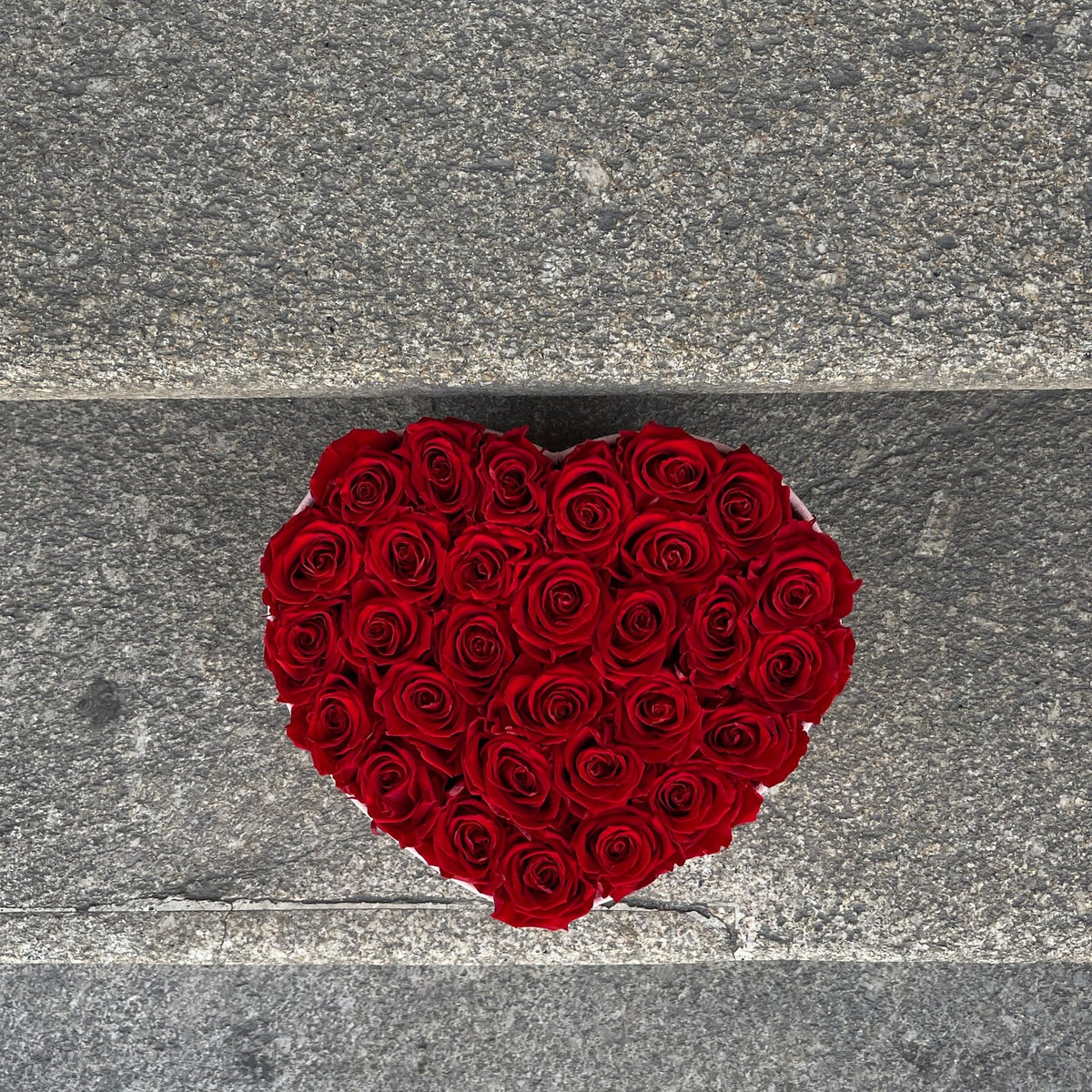 Passion Preserved Red Roses XL - The Florist