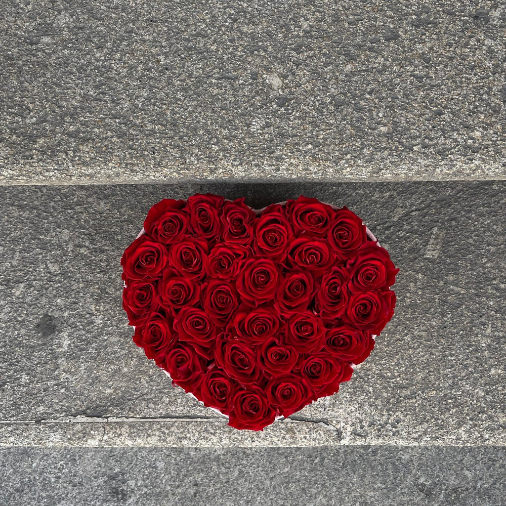 Passion Preserved Red Roses XL - The Florist