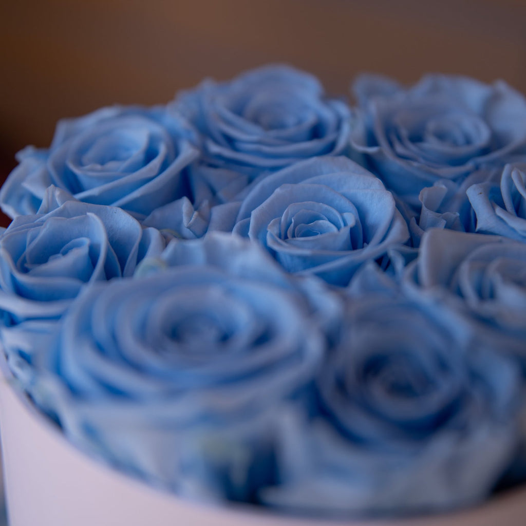 Glamorous Preserved Blue Roses - The Florist