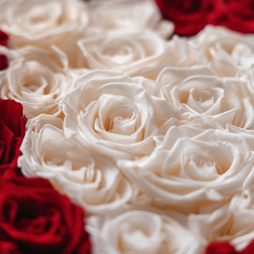 Rosas The Florist