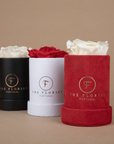 Single Rose preservadas em caixas preta, branca e vermelha