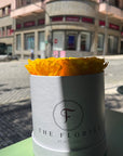 Passion Preserved Yellow Roses XL - The Florist