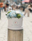 Special Edition Summer - The Florist