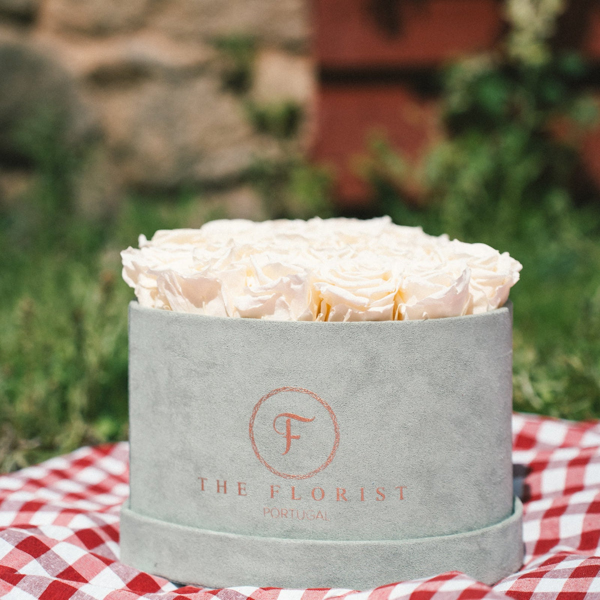 Luxurious Preserved Salmon Roses - The Florist