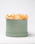 Glamorous Everlasting Orange - The Florist