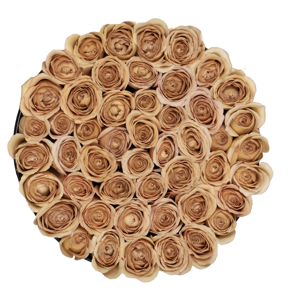 Special Editon Fall - The Florist Portugal - Florista Online 24/7