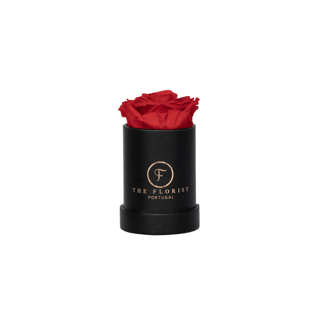 Single Rose Preserved Red