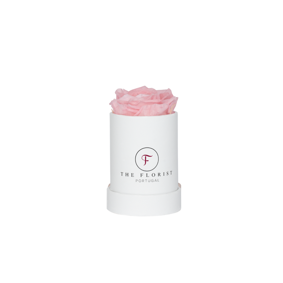 Single Rose Preserved Pink