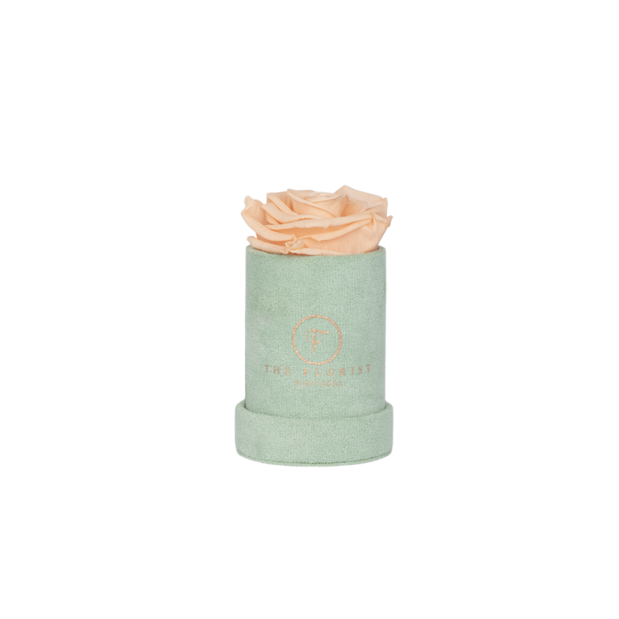 Single Rose Preserved Salmon
