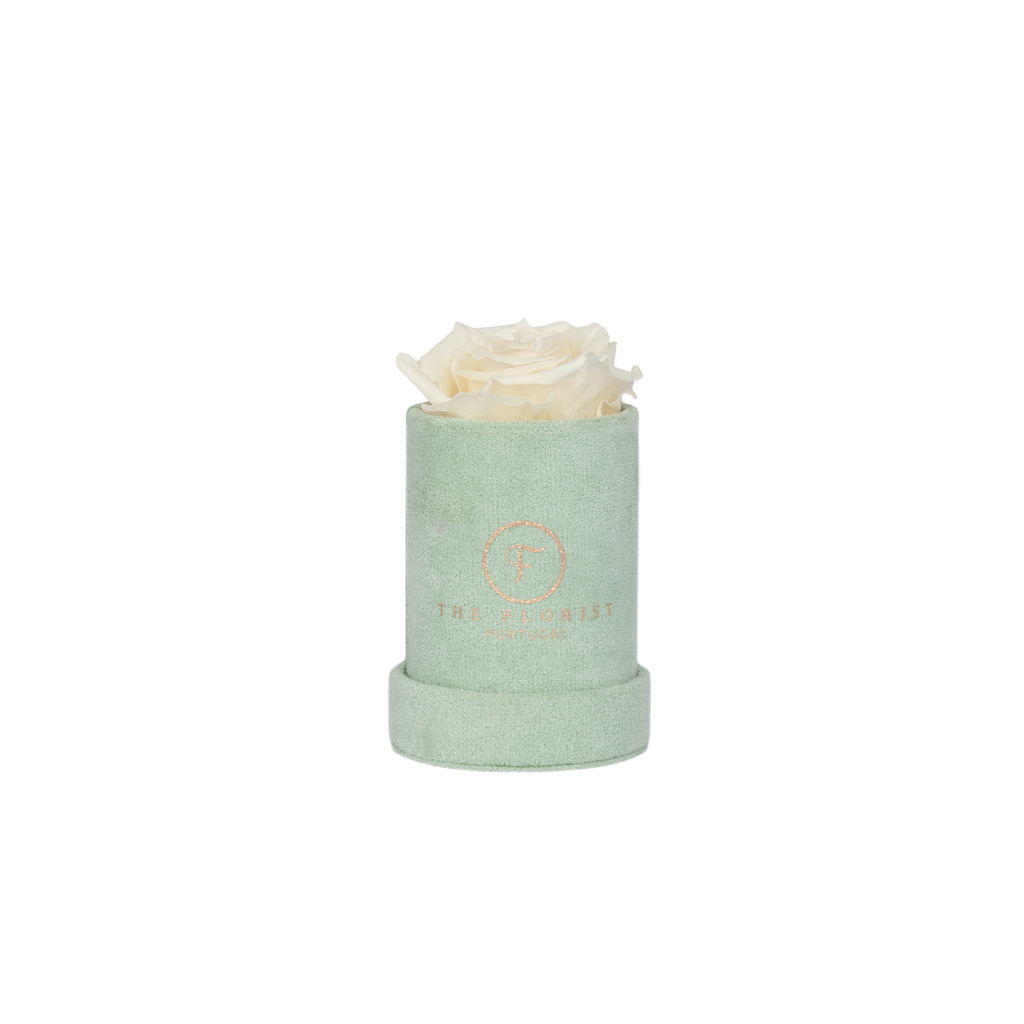 Single Rose Preserved White