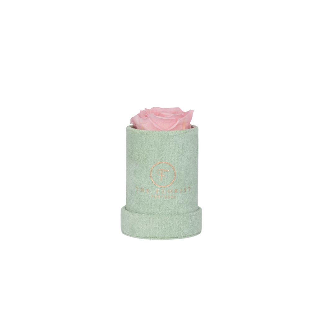 Single Rose Preserved Pink