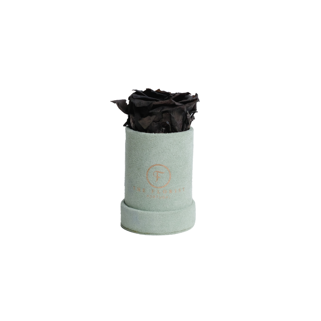 Single Rose Preserved Black