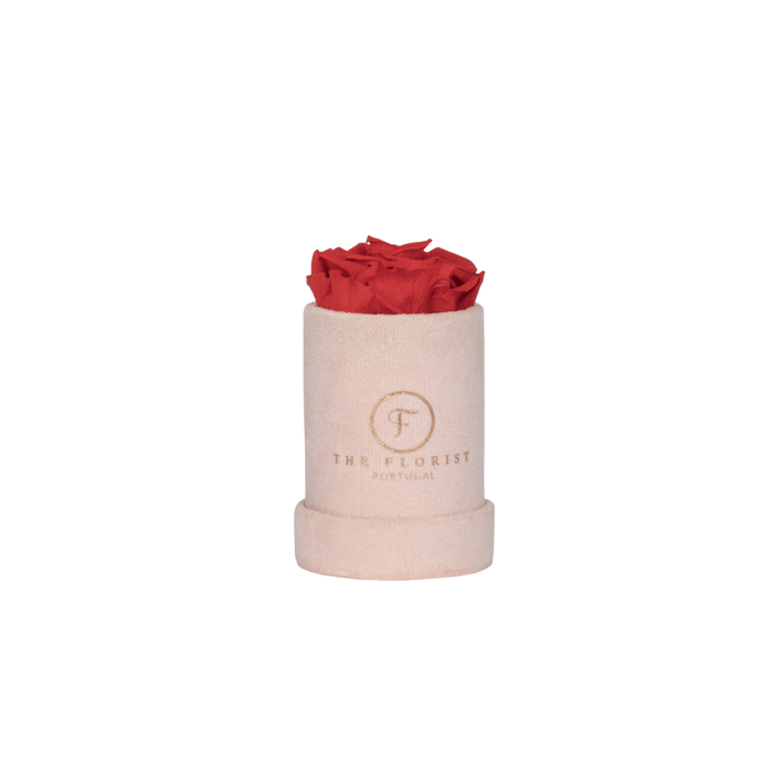 Single Rose Preserved Red