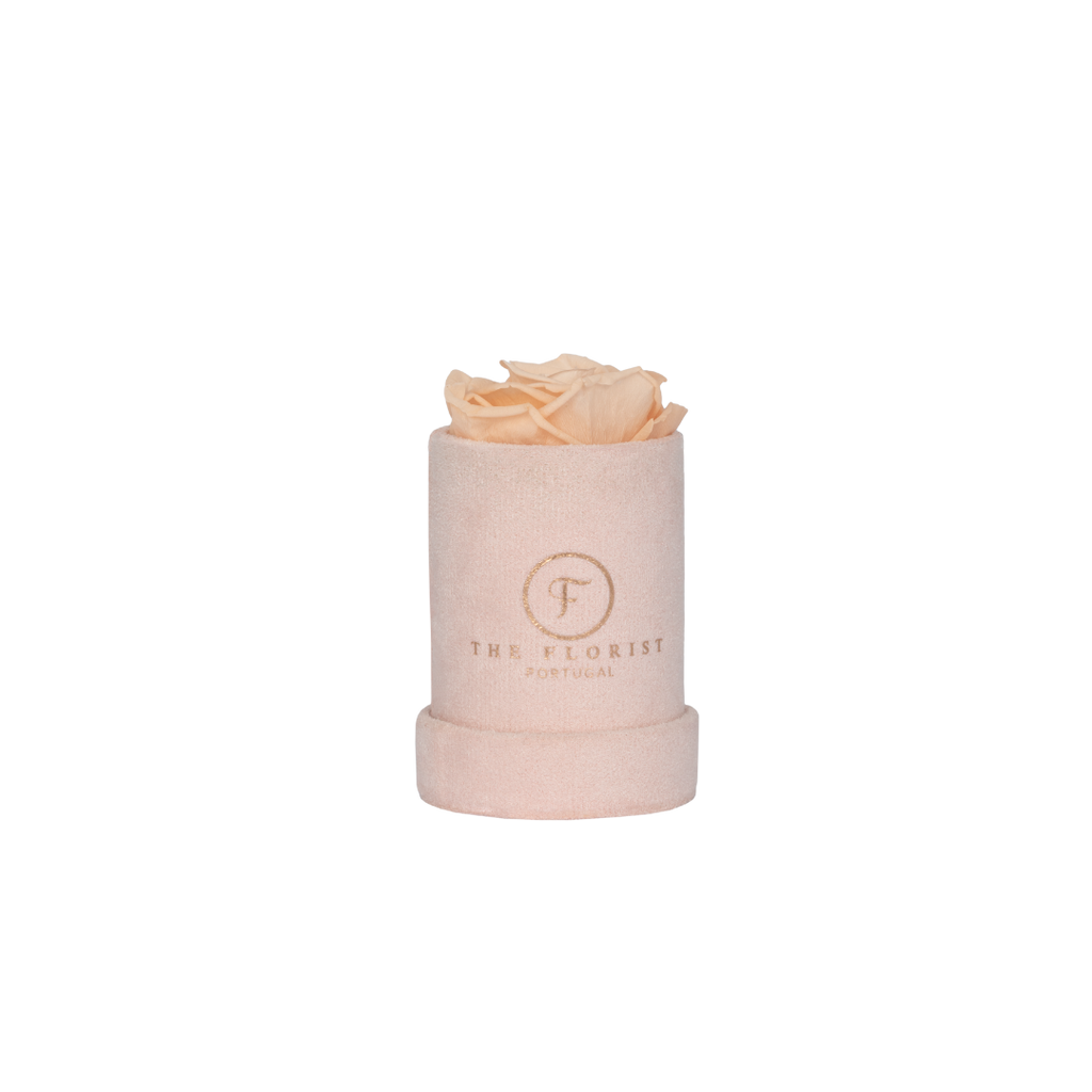 Single Rose Preserved Salmon