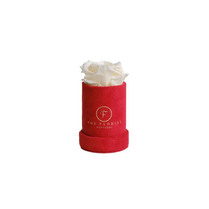 Single Rose Preserved White