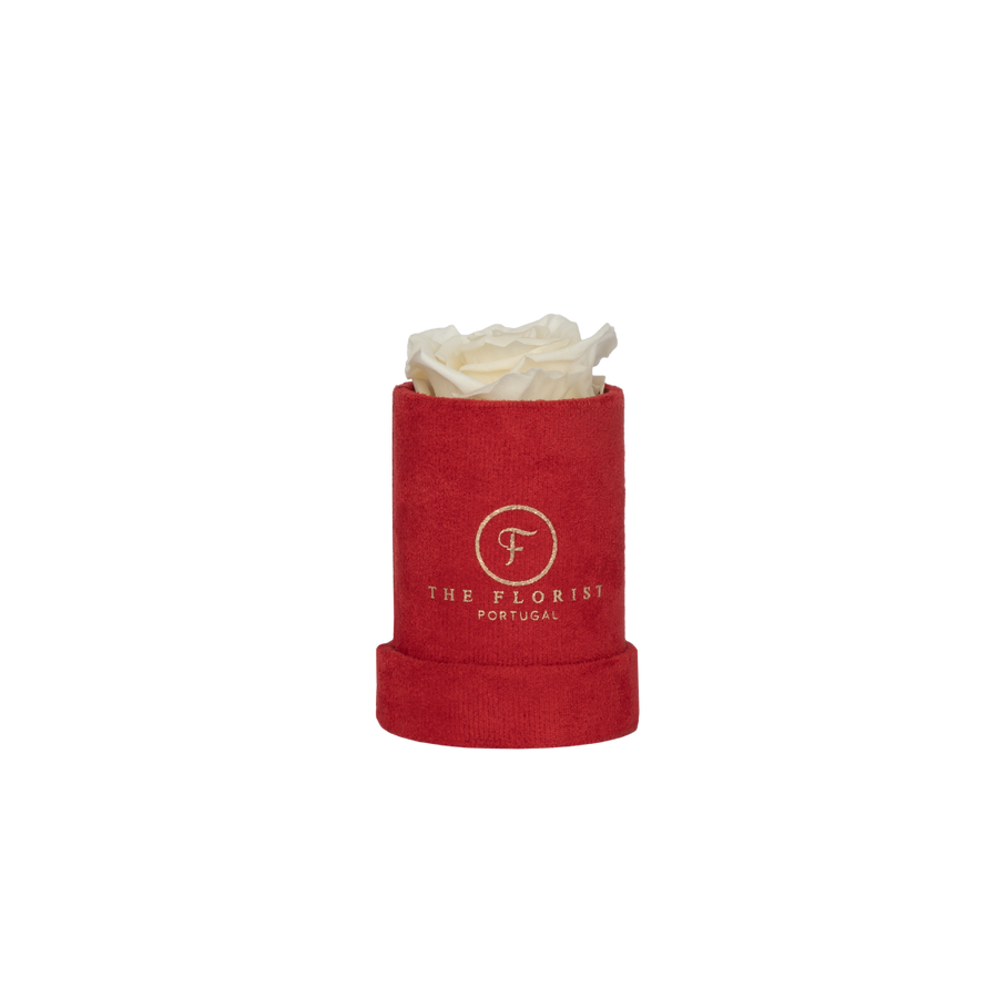 Single Rose Preserved White