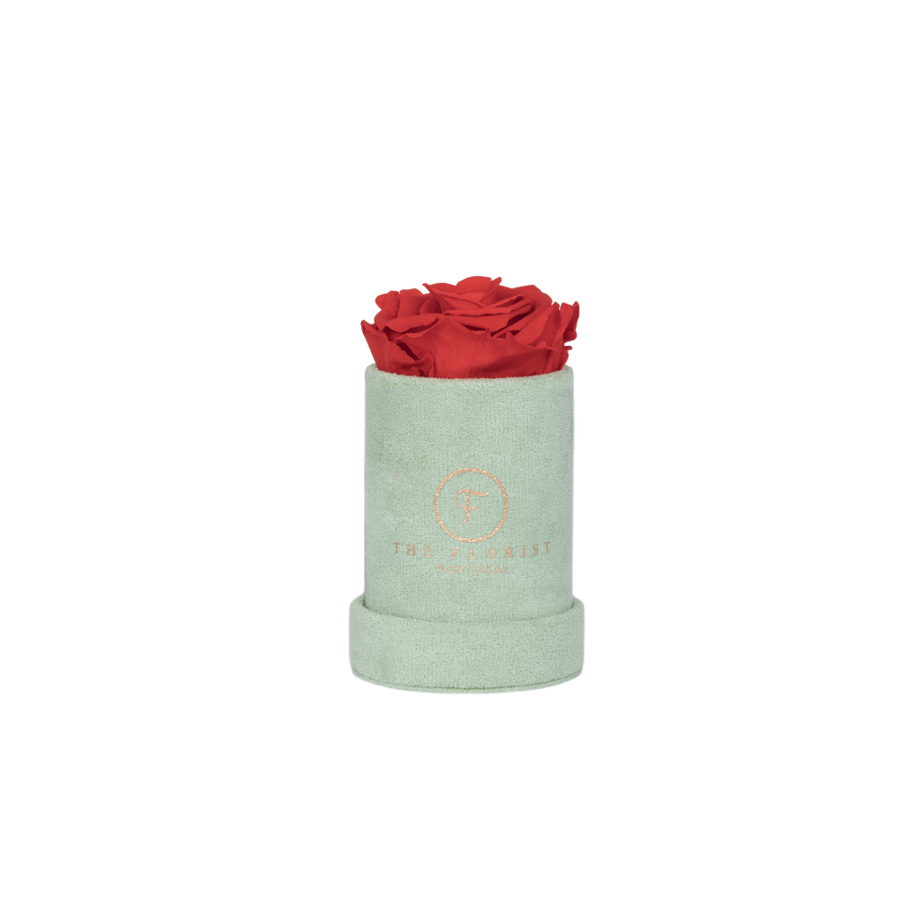 Single Rose Preserved Red