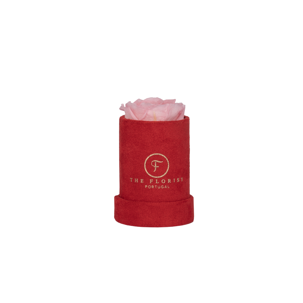 Single Rose Preserved Pink