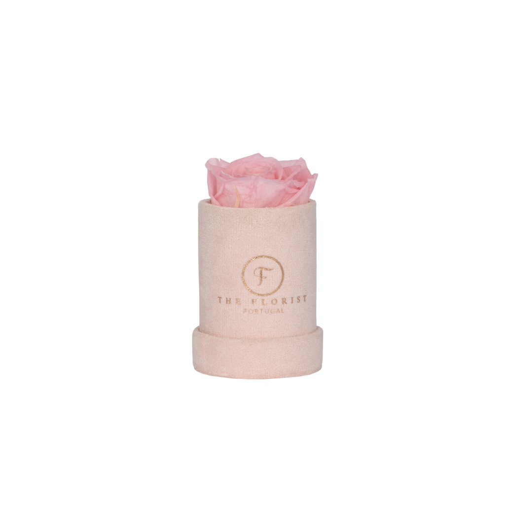 Single Rose Preserved Pink