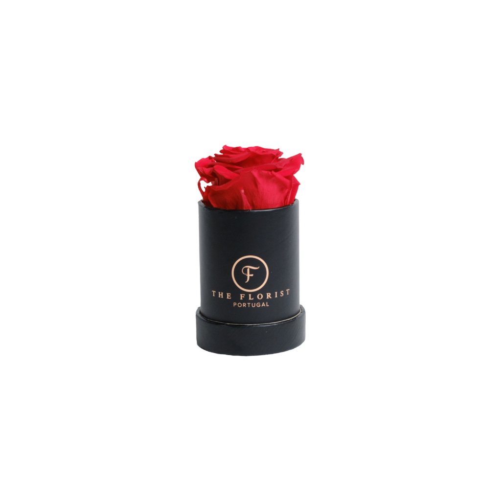 Single Rose Preserved Red