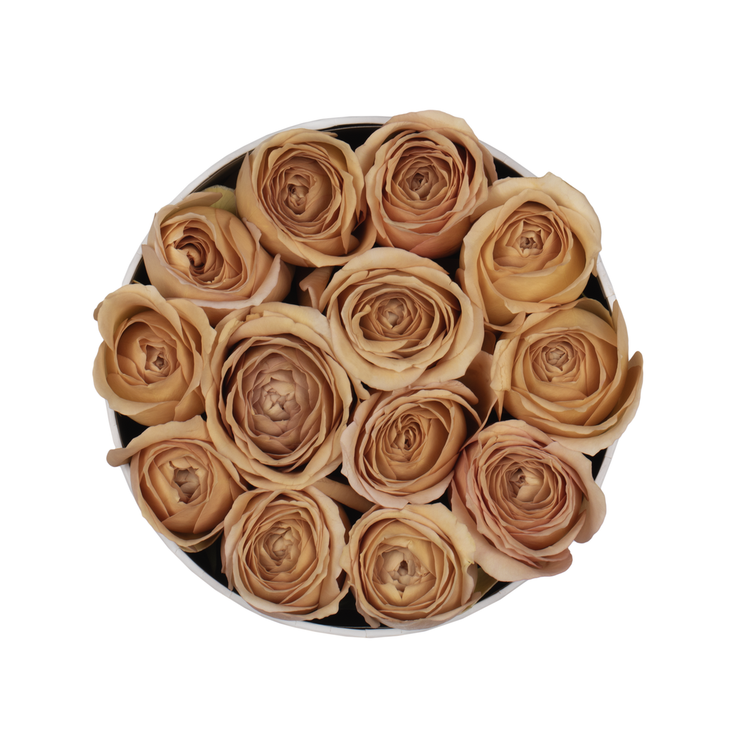 Special Editon Fall - The Florist Portugal - Florista Online 24/7