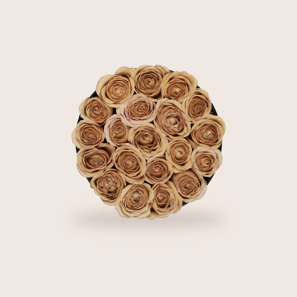 Special Edition Fall, rosas nude, Glamorous vista de cima