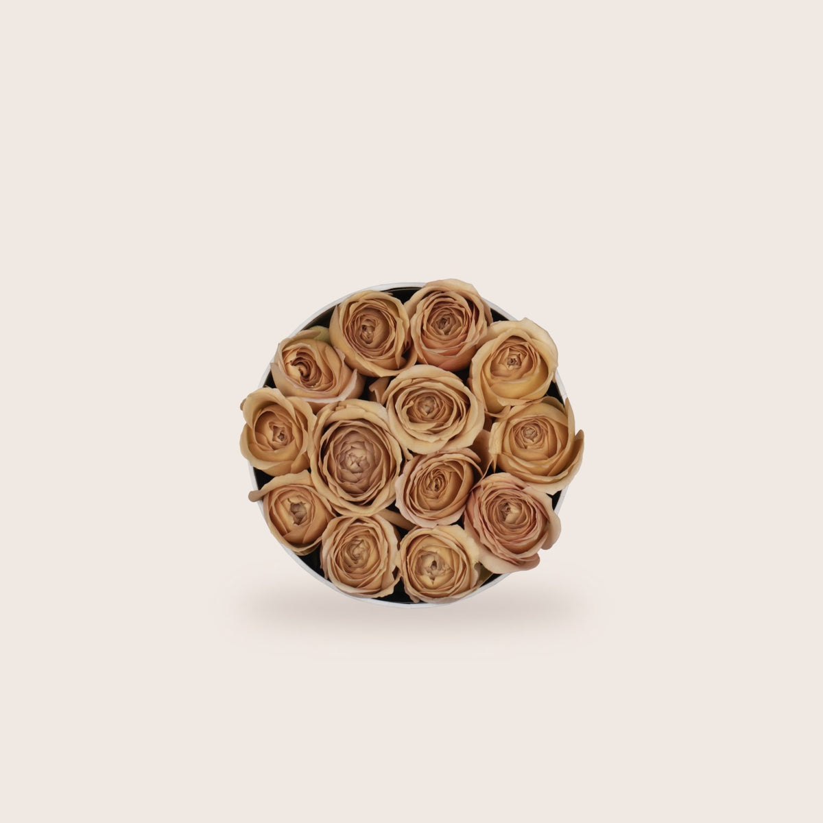 Special Edition Fall, rosas nude, Simplicity vista de cima