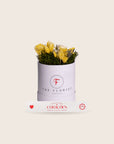 The Florist Portugal