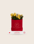The Florist Portugal