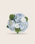 The Florist Portugal