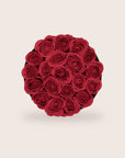 Rosas rojas glamorosas