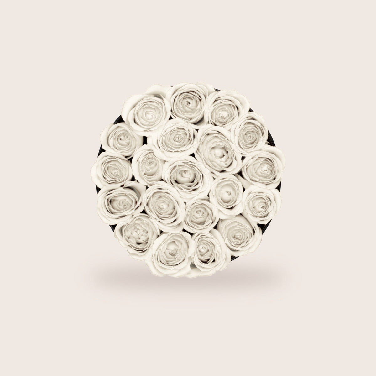 Glamorous White Roses