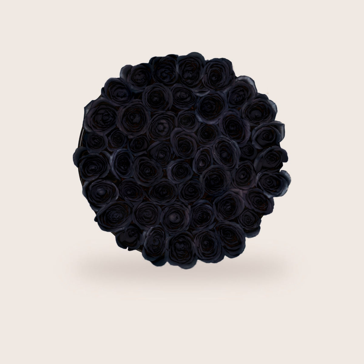 Luxurious Black Roses