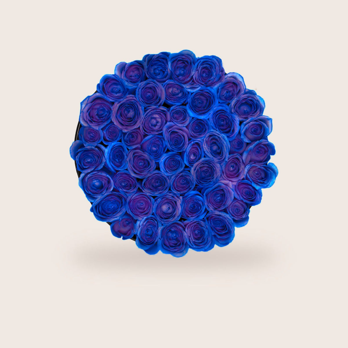 Luxurious Blue Roses