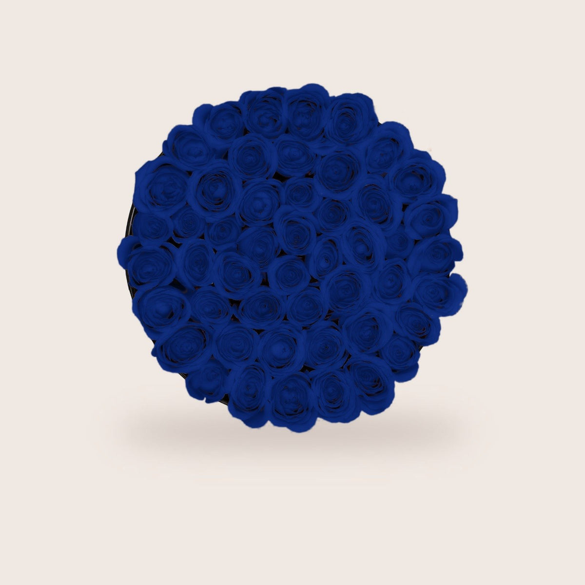 Lujosas rosas azules preservadas