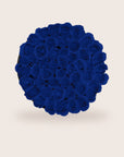 Lujosas rosas azules preservadas
