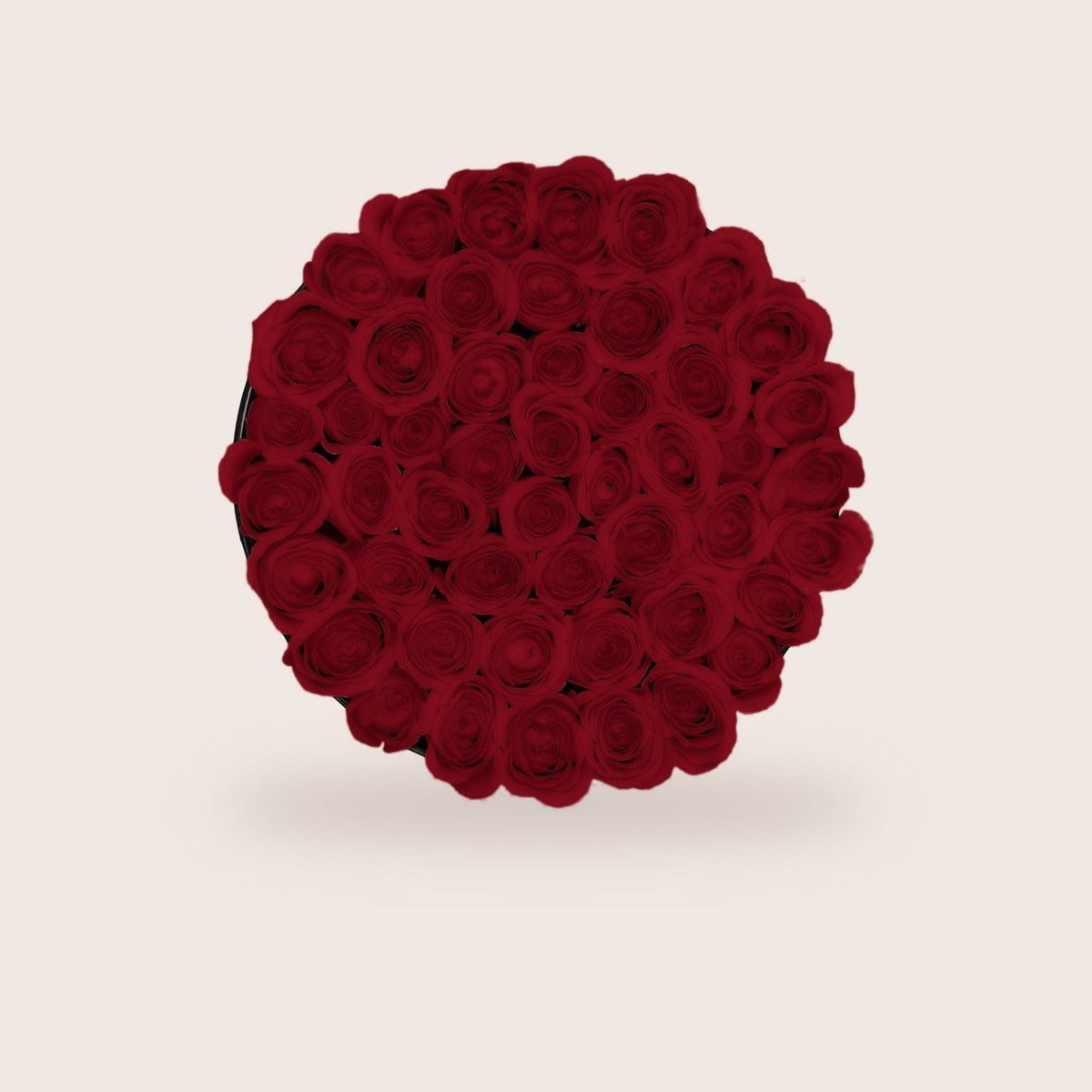 Lujosas rosas rojas preservadas